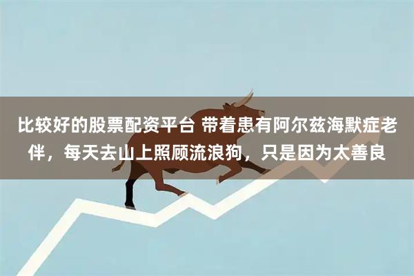 比较好的股票配资平台 带着患有阿尔兹海默症老伴，每天去山上照顾流浪狗，只是因为太善良