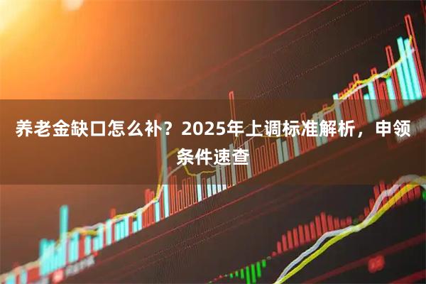 养老金缺口怎么补？2025年上调标准解析，申领条件速查